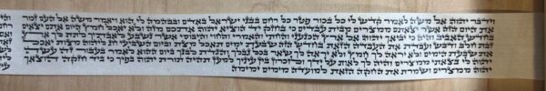 Tefillin Gasos Oir Echod Arizal Parshiyos Mehudar - Image 2