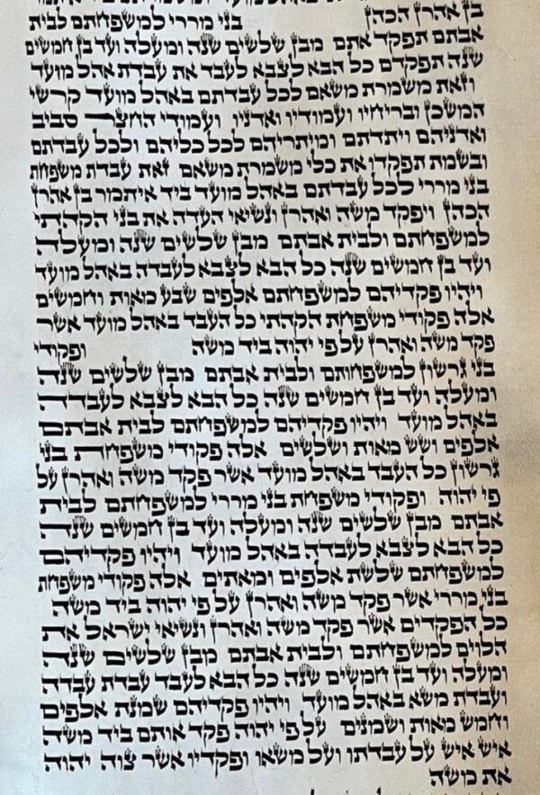 Sefer Torah Beis Yoisef 56 CM $19,999 NOW $17,999!