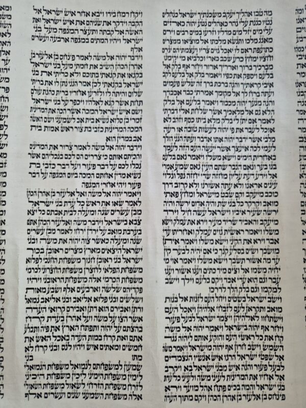 Sefer Torah Sefardi 50 CM $19,999 NOW $17,999!